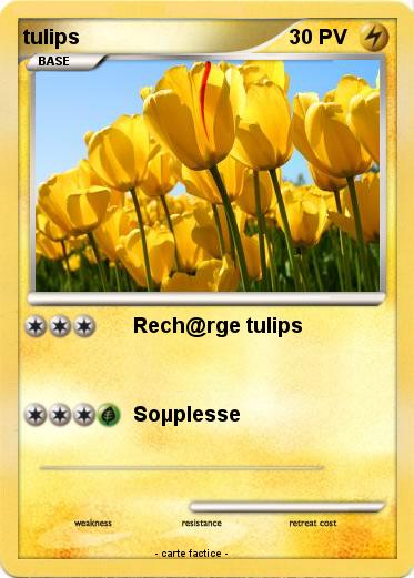 Pokemon tulips