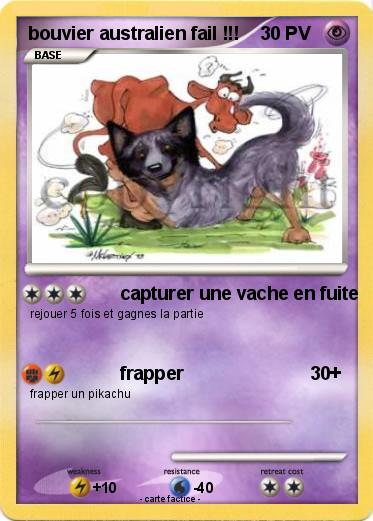 Pokemon bouvier australien fail !!!