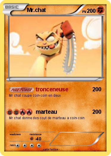 Pokemon Mr.chat