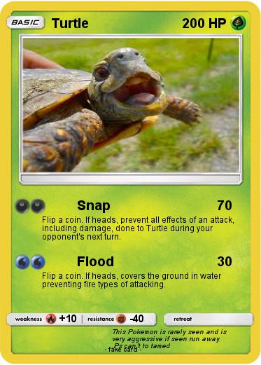 Pokemon Turtle