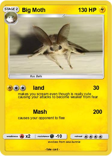 Pokemon Big Moth