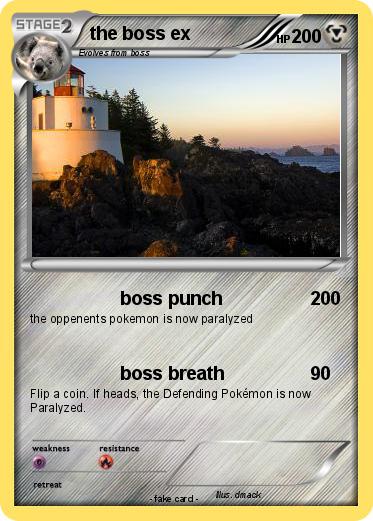 Pokemon the boss ex