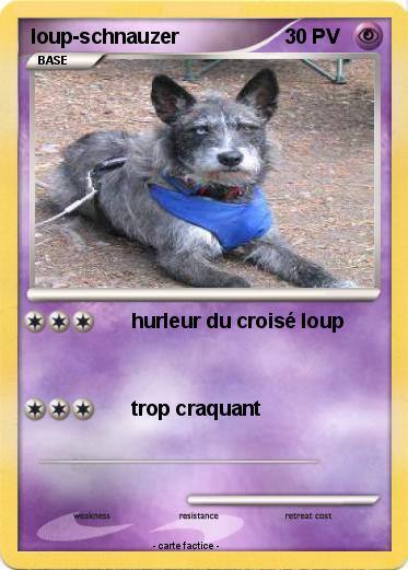 Pokemon loup-schnauzer