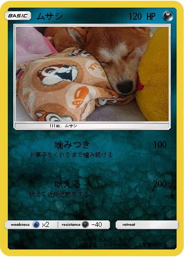 Pokemon ムサシ
