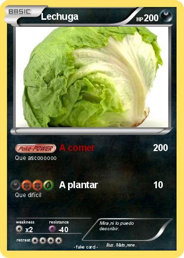 Pokemon Lechuga