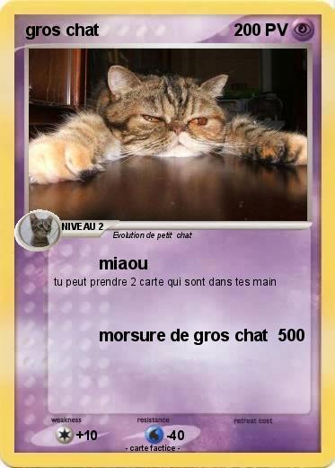 Pokemon gros chat
