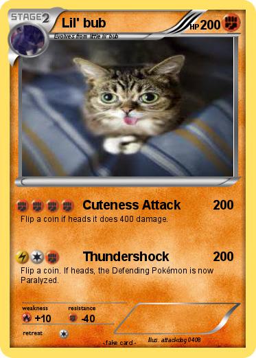 Pokemon Lil' bub