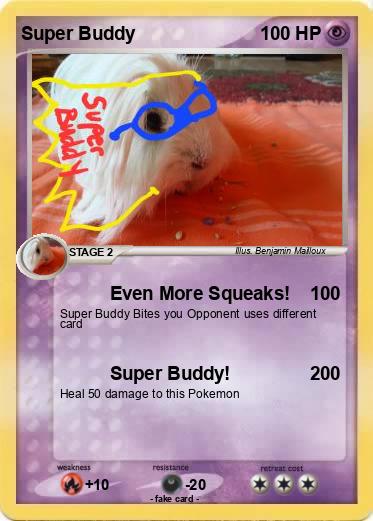 Pokemon Super Buddy