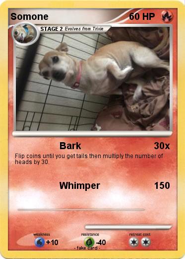 Pokemon Somone