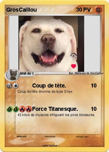 Pokemon GrosCaillou