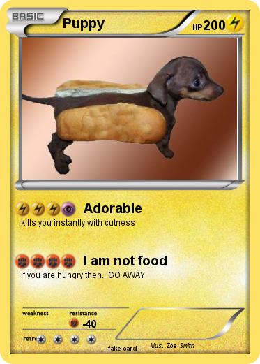 Pokemon Puppy