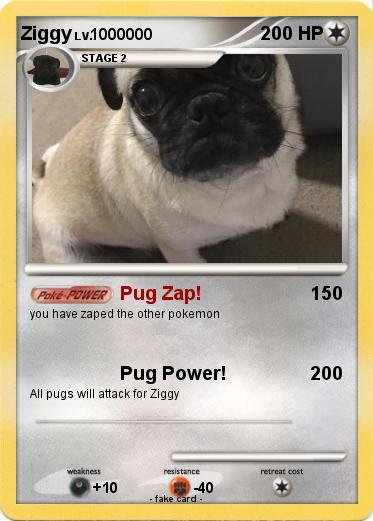 Pokemon Ziggy