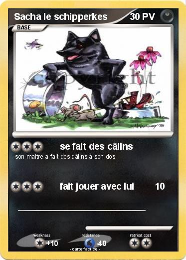 Pokemon Sacha le schipperkes