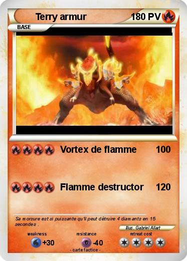 Pokemon Terry armur
