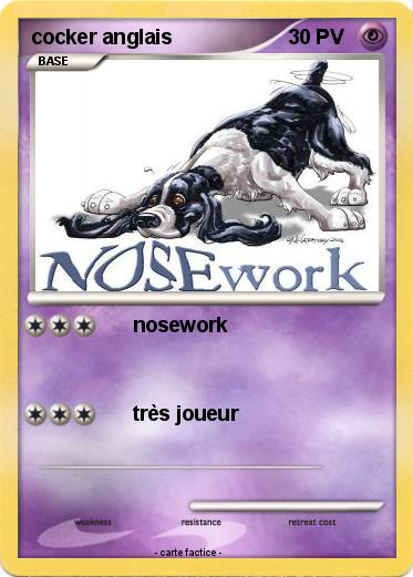 Pokemon cocker anglais