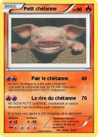 Pokemon Petit chétanne