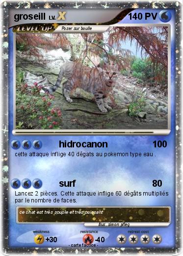 Pokemon groseill