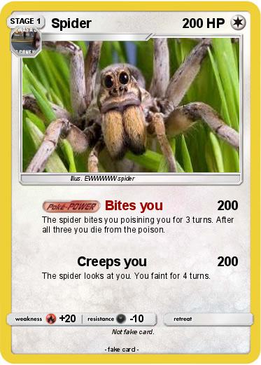 Pokemon Spider