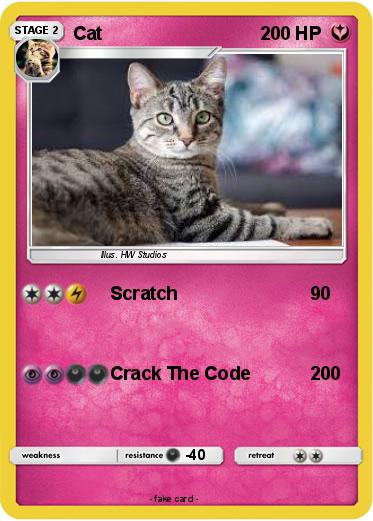 Pokemon Cat