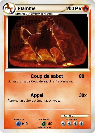 Pokemon Flamme
