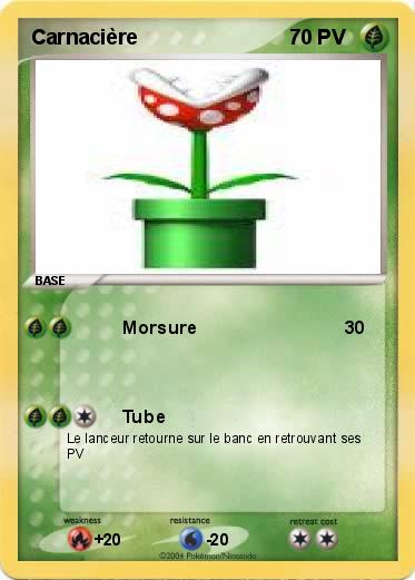 Pokemon Carnacière