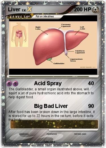 Pokemon Liver