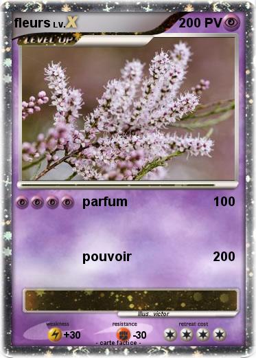 Pokemon fleurs