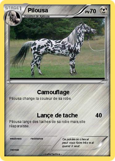 Pokemon Pilousa