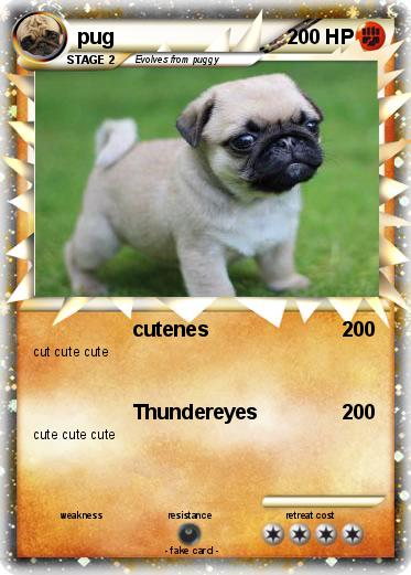 Pokemon pug