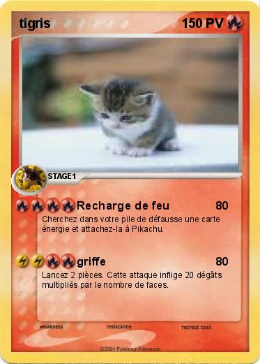 Pokemon tigris