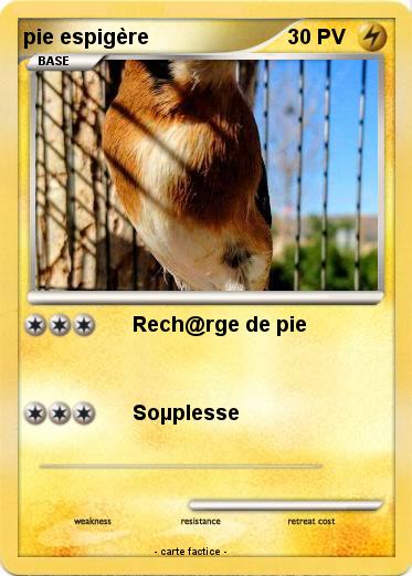 Pokemon pie espigère