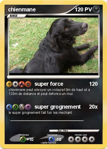 Pokemon chienmane
