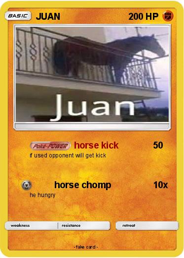 Pokemon JUAN