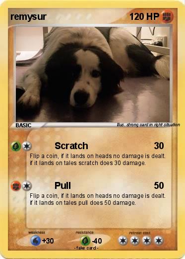 Pokemon remysur
