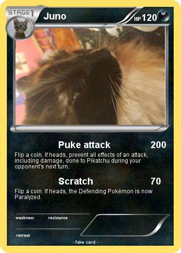 Pokemon Juno