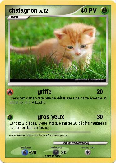 Pokemon chatagnon