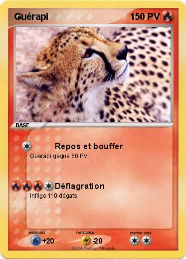 Pokemon Guérapi 