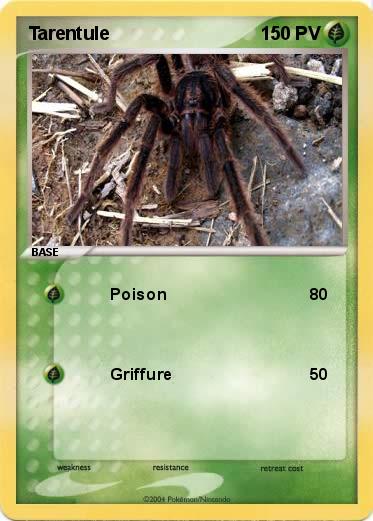 Pokemon Tarentule