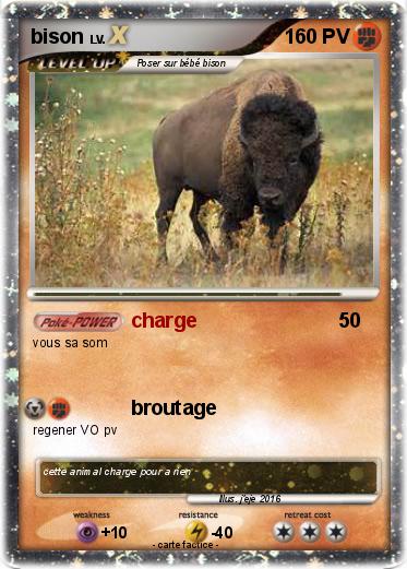 Pokemon bison