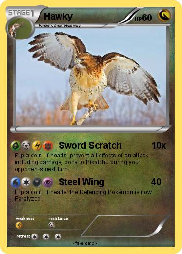Pokemon Hawky