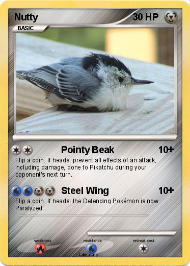 Pokemon Nutty