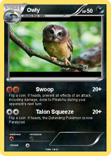 Pokemon Owly