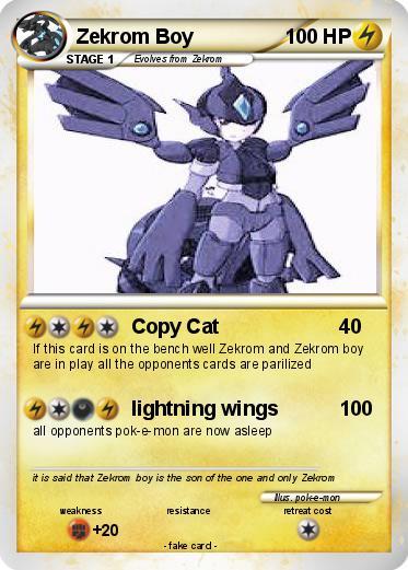 Pokemon Zekrom Boy
