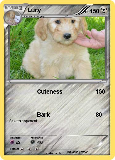 Pokemon Lucy