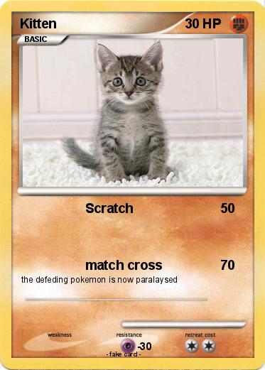 Pokemon Kitten
