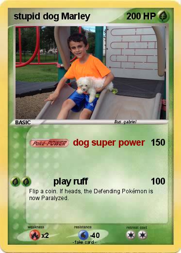 Pokemon stupid dog Marley