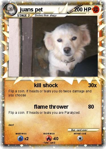 Pokemon juans pet