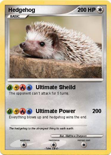 Pokemon Hedgehog