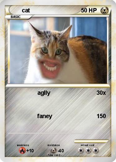 Pokemon cat