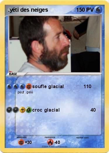 Pokemon .yéti des neiges                                           